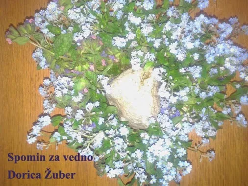 Dorica Žuber