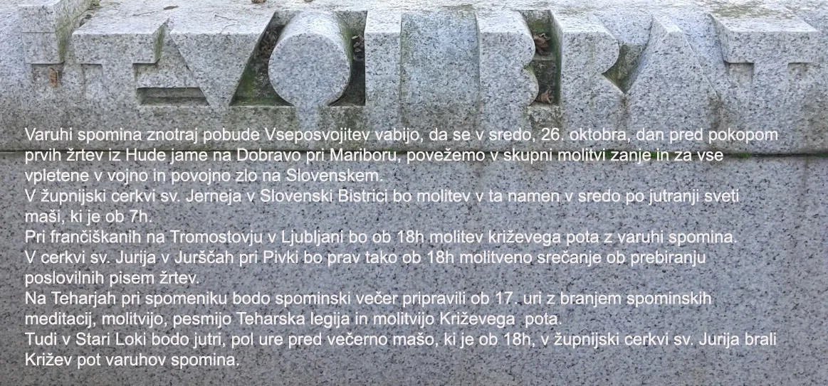 Tvoj brat