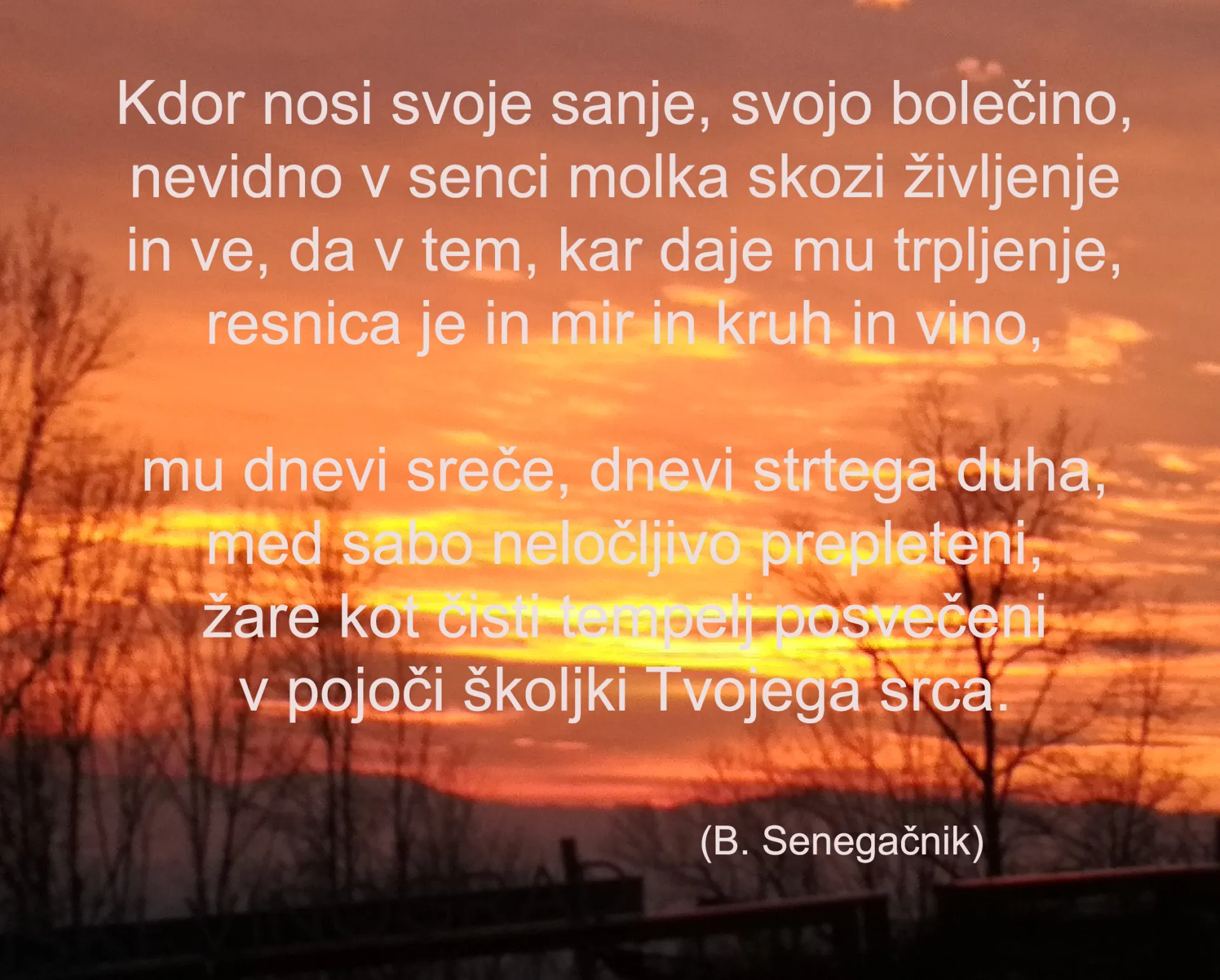 Nositi bolečino