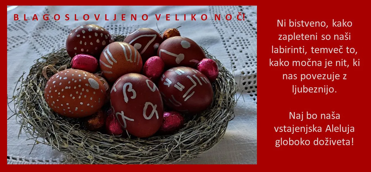 za spletno VSP