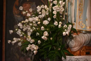 Meditation 17
